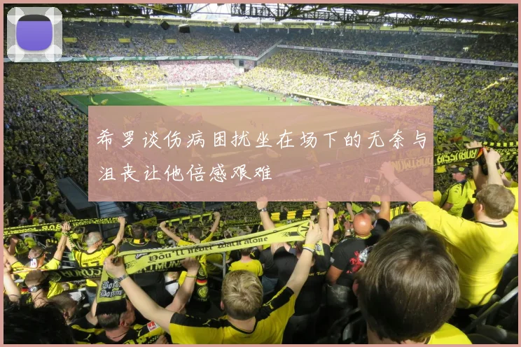 希罗谈伤病困扰坐在场下的无奈与沮丧让他倍感艰难