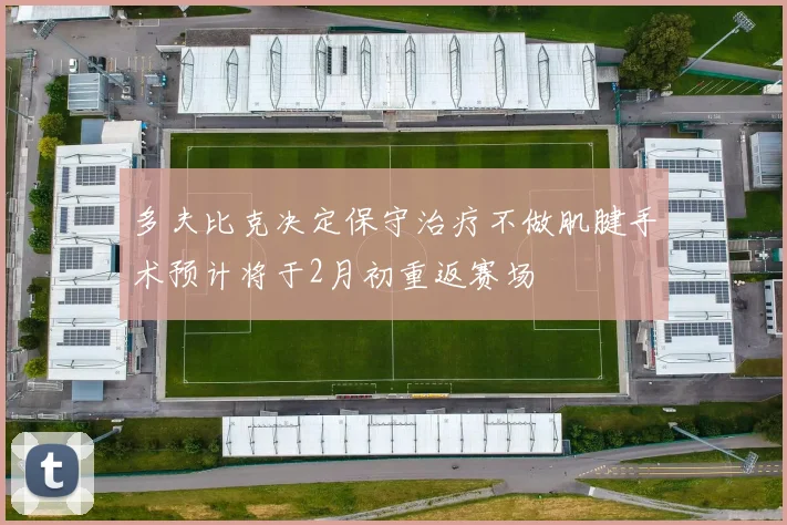 多夫比克决定保守治疗不做肌腱手术预计将于2月初重返赛场